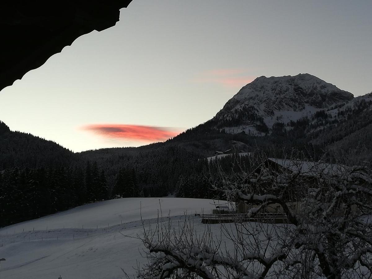 Gaestehaus-Russegger Abtenau Exteriér fotografie